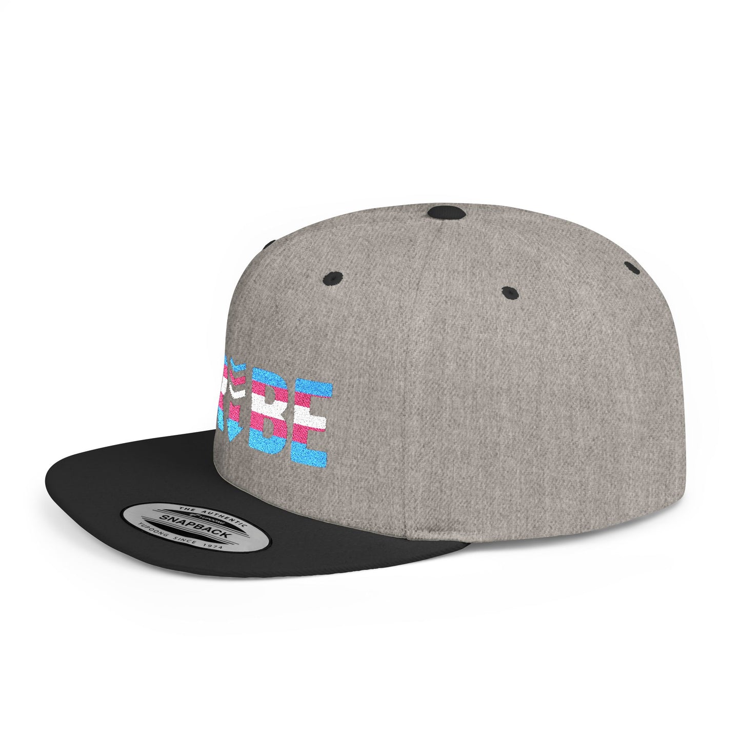 TRIBE Logo Flat Bill Snapback — Trans Pride Design