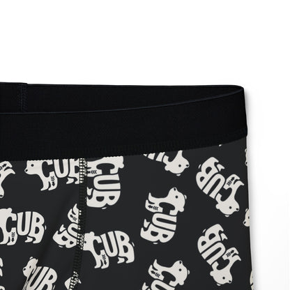 BEAR CUB Men's Boxer Briefs - Onyx