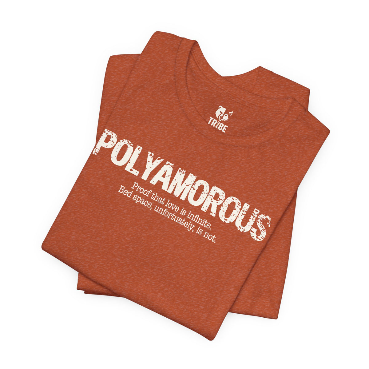 Polyamorous Stereotype Jersey Tee