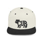 BEAR CUB Flat Bill Snapback — Onyx Silhouette Design